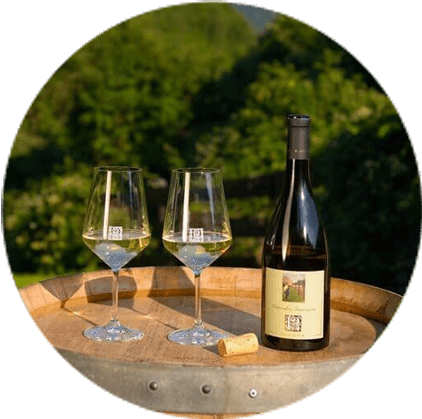 Weinhof Prackfol 